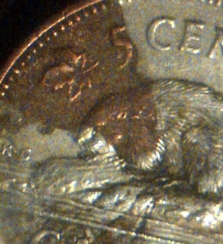 This-One-Is-A-1989-5-Cents