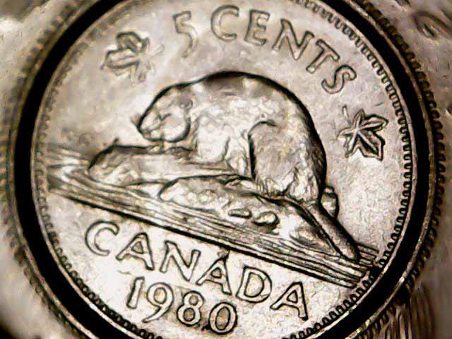 This--Is-1980-Nickel---Error
