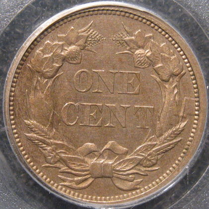 The-Incredible-100-Days-Of-19th-Century-US-Coins!