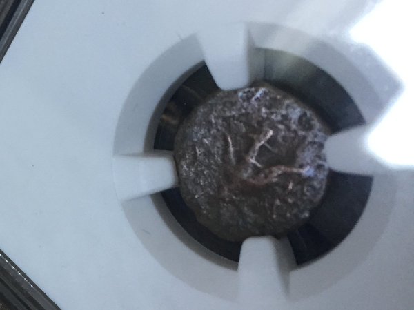 NGC-Sides-Different-Grades/Quality