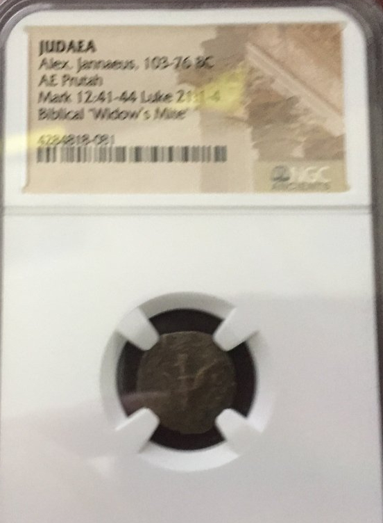 NGC-Sides-Different-Grades/Quality