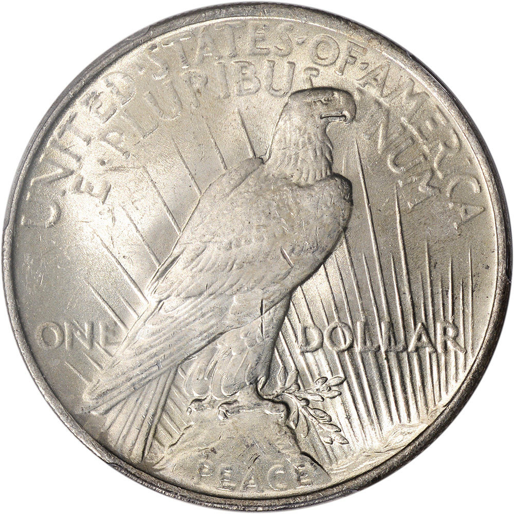 Unexpected-Spots-On-Silver-Dollar