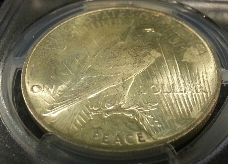 Unexpected-Spots-On-Silver-Dollar