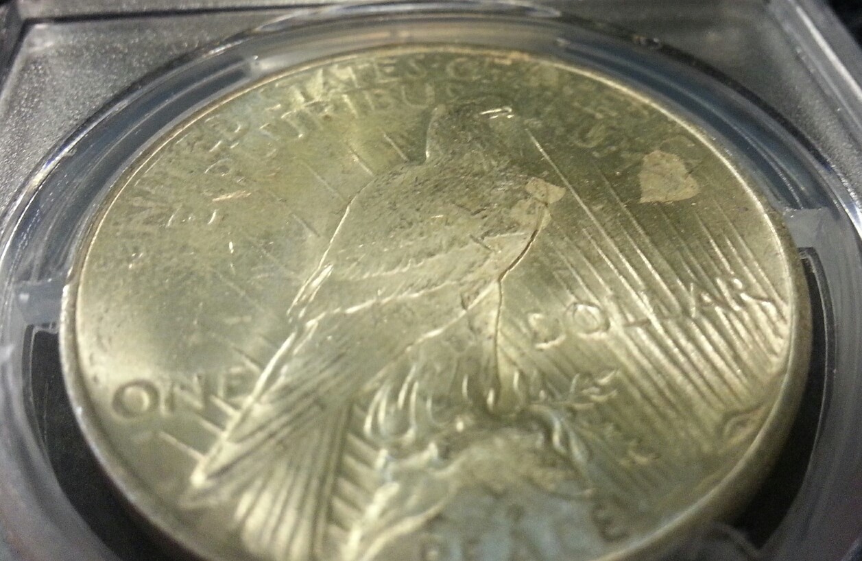 Unexpected-Spots-On-Silver-Dollar