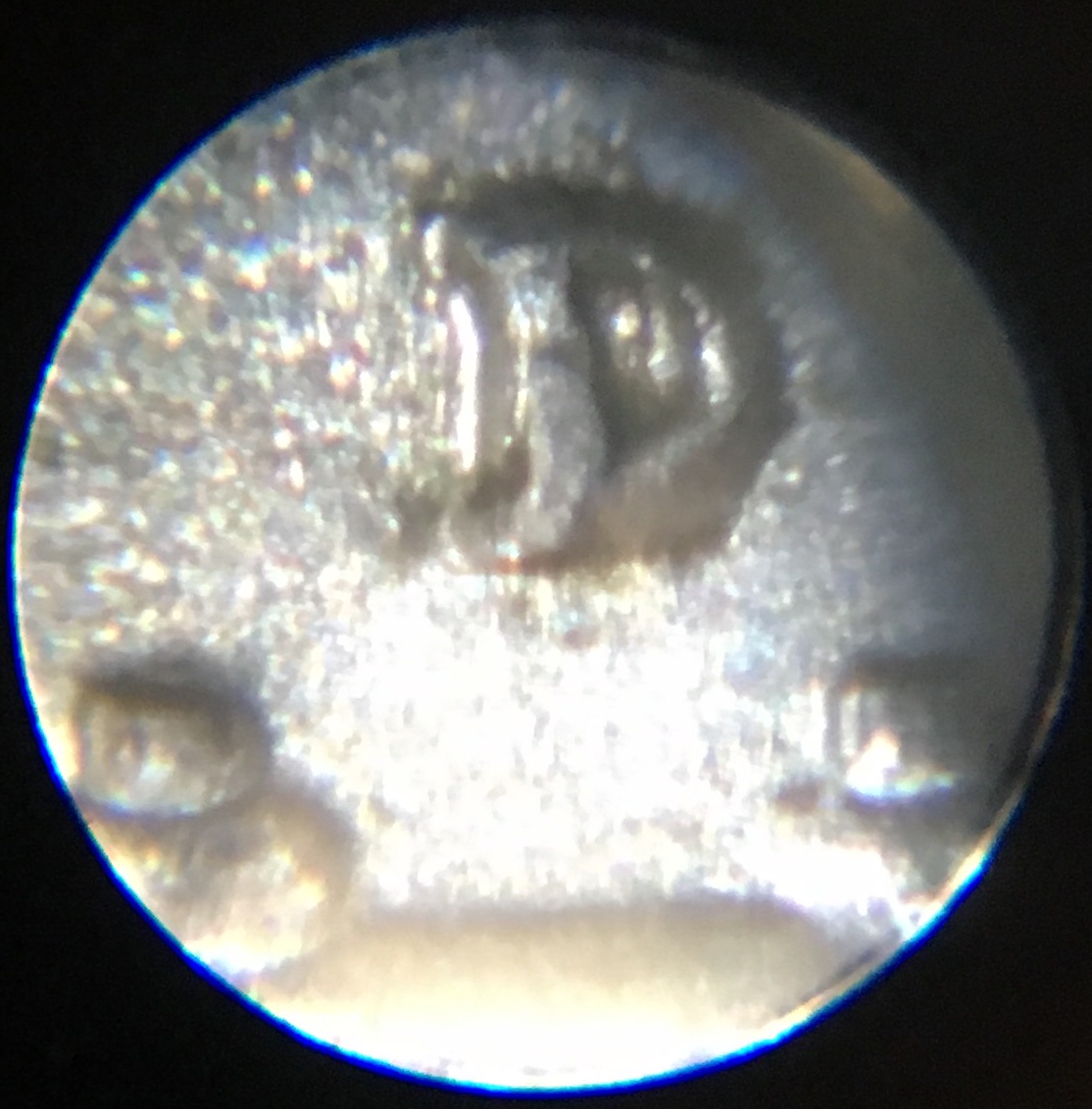 Possible-RPM-1950-D-Franklin-Half-Dollar-No-Variety-Vista-Listing?