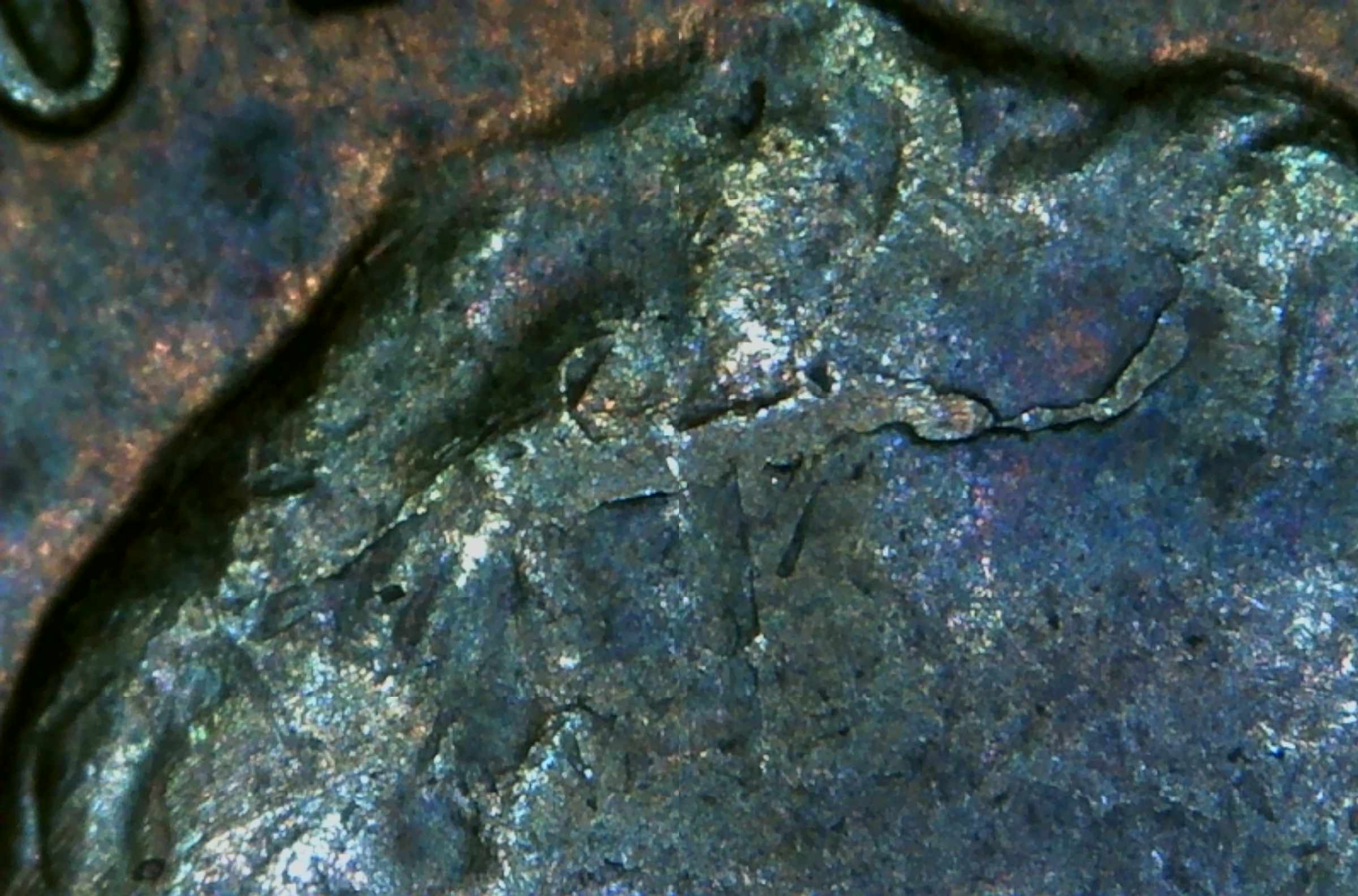 My-Coin-Roll-Hunting-Finds