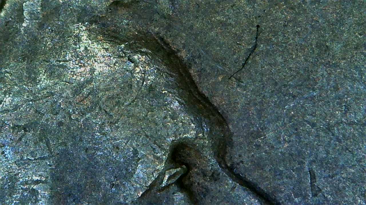 1944-Wheat-Cent-DDO?