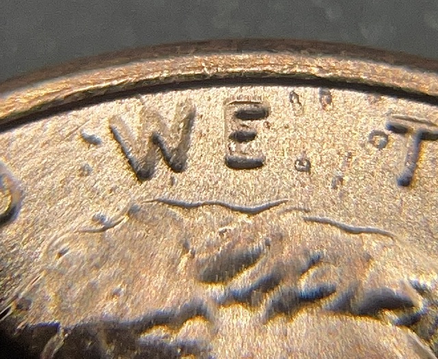 2024-P-Shield-Cent---DDO-Or-DDD?
