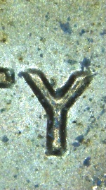 1983-D-Possible-Doubled-Die-DDO-DDR-And-Doubled-Lower-Ear
