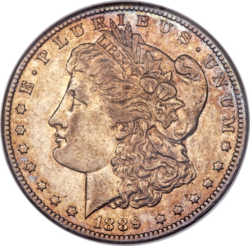 1889-CC-Morgan-Dollar.-You-Vs.-ANACS-Old-White-Holder