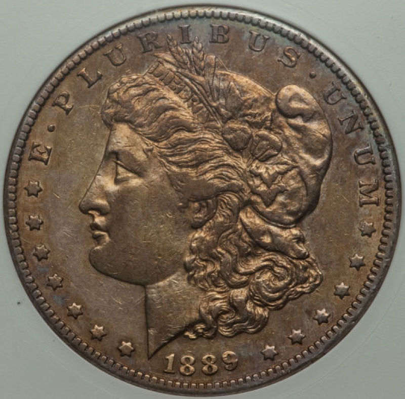 1889-CC-Morgan-Dollar.-You-Vs.-ANACS-Old-White-Holder