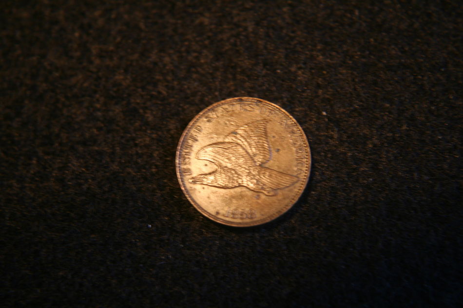 High-Grade-Flying-Eagle-Cent