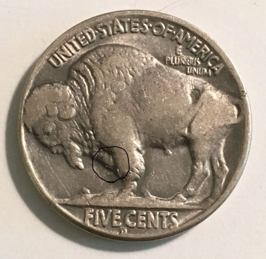 Counterfeit-Or-Legit-3-Legged-Buffalo