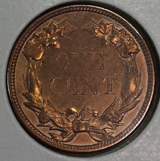 1858-Flying-Eagle-Cent!-Genuine?