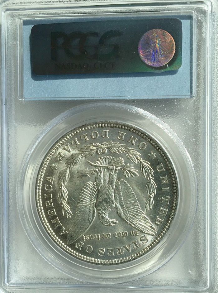 I-Have-The-Silver-Dollar-Fever!