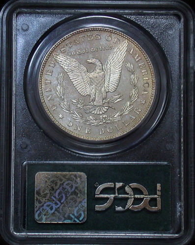 I-Have-The-Silver-Dollar-Fever!