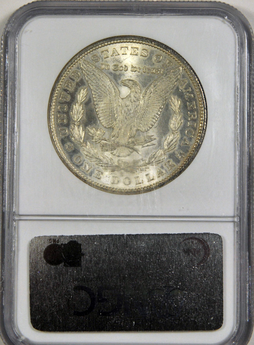 I-Have-The-Silver-Dollar-Fever!