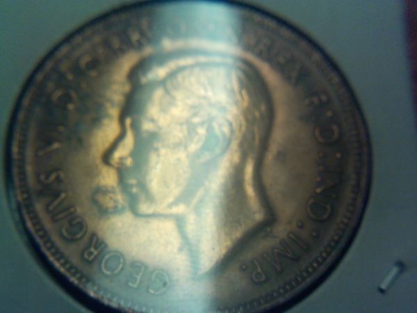 Picked-Up-At-Local-Coin-Shop