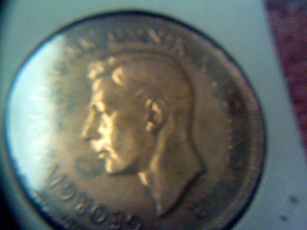 Picked-Up-At-Local-Coin-Shop