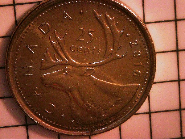 2016-25-Cent-Damage/Plating-Issue?