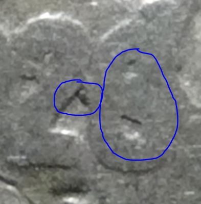 1928-Nickel---Is-This-A-Double-Die?