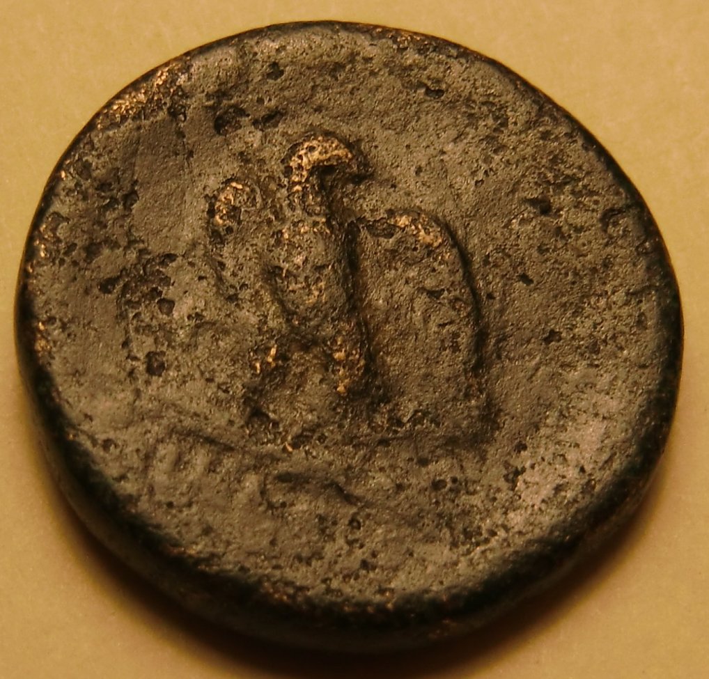 Pretty-Sure-This-Is-Ptolemaic-Kingdom