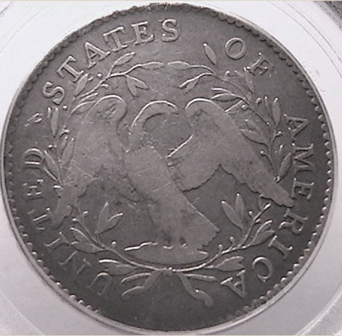 Your-Favorite-Eagle-On-A-Coin