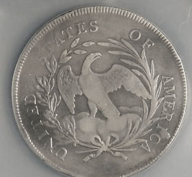 Your-Favorite-Eagle-On-A-Coin