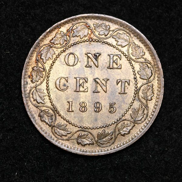 1895-Canada-Large-Cent---Please-Grade