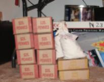 Boxes-And-Boxes