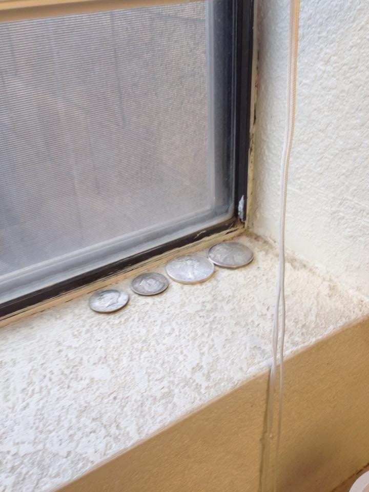 Coin-Experiment