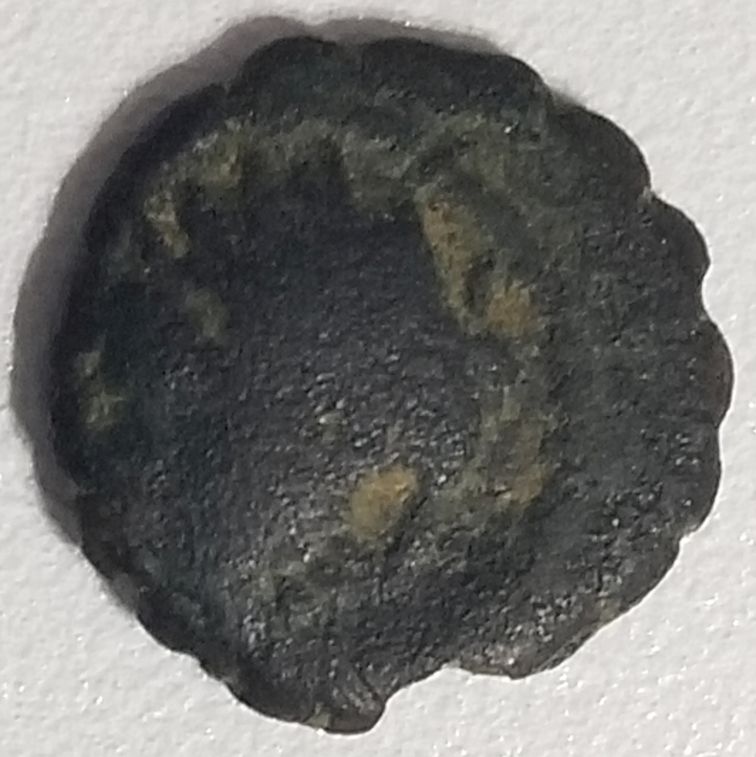 Hammered-Coin-Identification