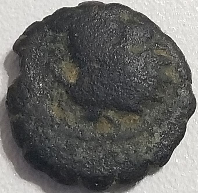 Hammered-Coin-Identification