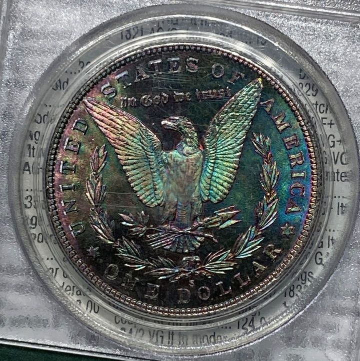 Continuing-List-To-Show-Everyones-Latest-Acquisitions