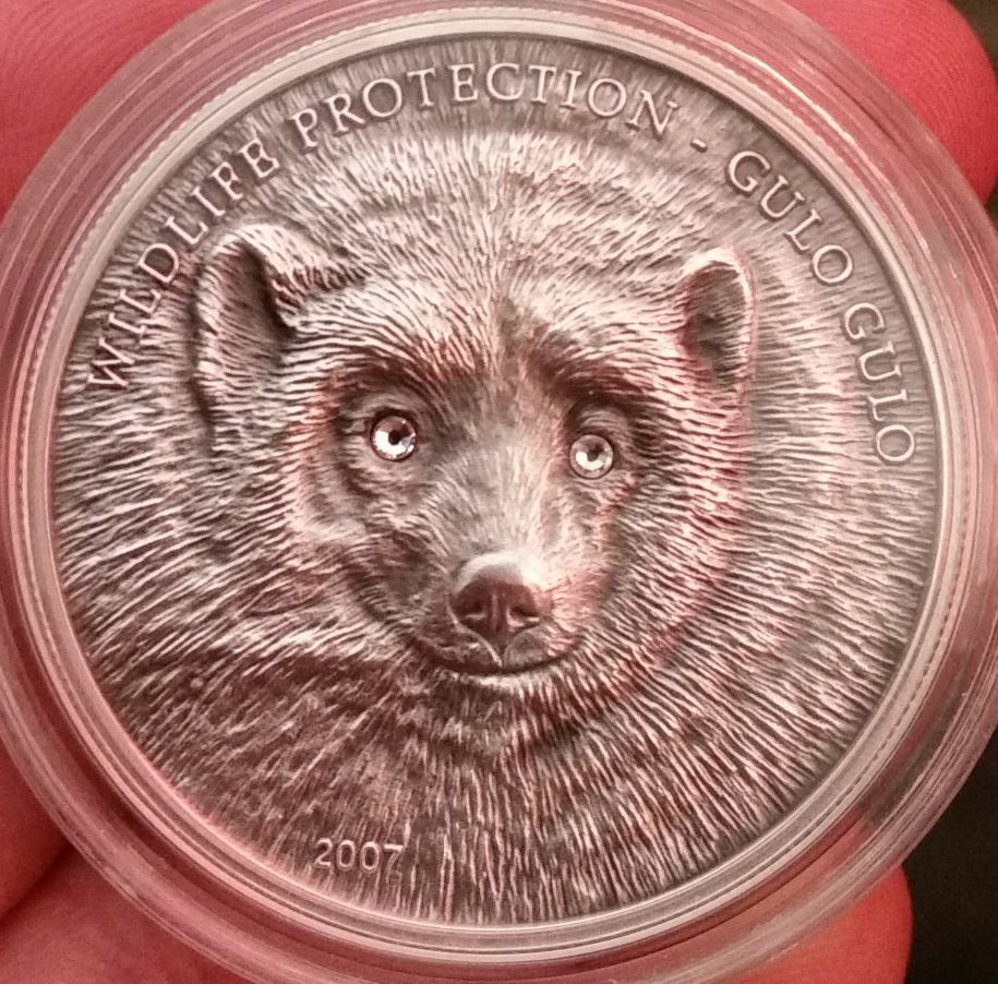 Mongolian-Wolverine-Coin,-Fake-Or-Genuine?