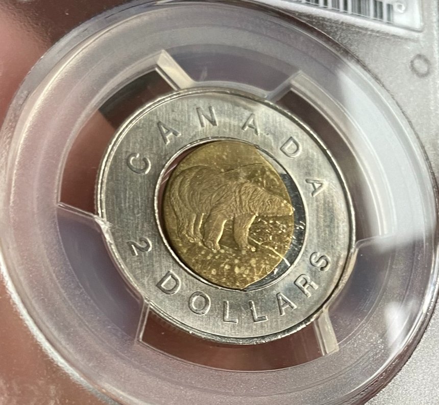 Experts-Opinions-Needed,-German-Planchet?-1996-Toonie-Error.