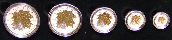 Fractional-Set---Maple-Leaf-2014-Selective-Gold-Platting