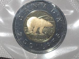 The-Siver-Toonie
