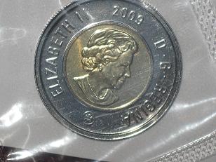 The-Siver-Toonie