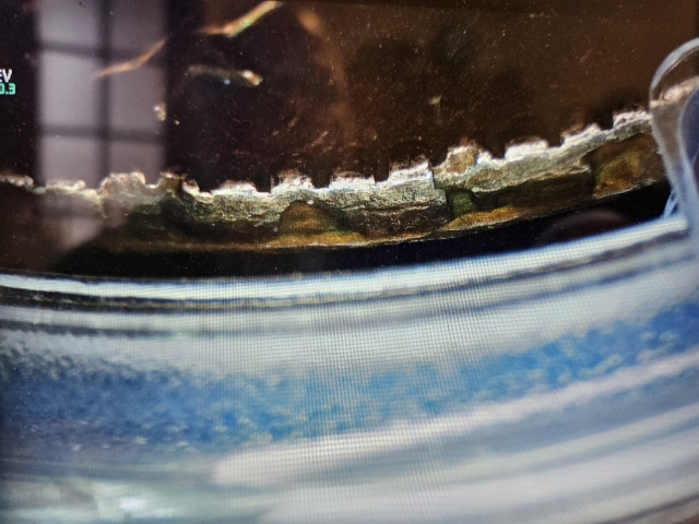 1811-O-110-Small-8-Capped-Half-$-With-Denticle-Error/Issue?