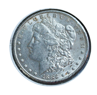 Buying-US-Silver-Dollars