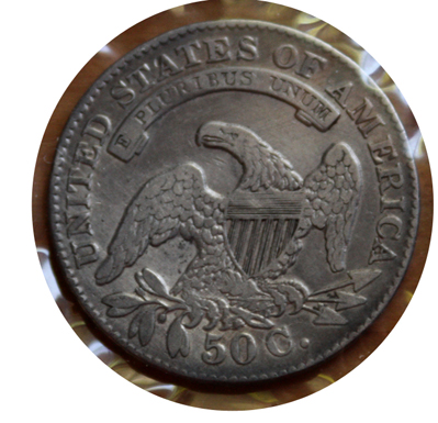 Showing-Capped-Bust-Coins