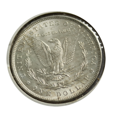 1880-Morgan-Dollar-Need-Your-Opinion
