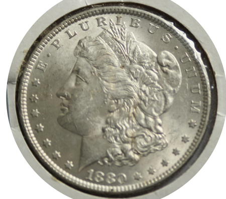 1880-Morgan-Dollar-Need-Your-Opinion