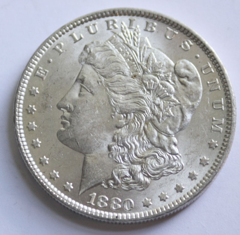 1880-Morgan-Dollar-Need-Your-Opinion