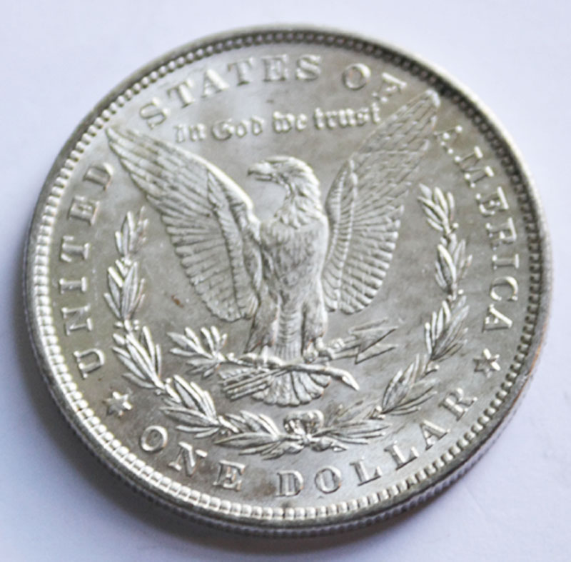 1880-Morgan-Dollar-Need-Your-Opinion