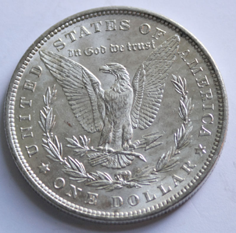 1880-Morgan-Dollar-Need-Your-Opinion