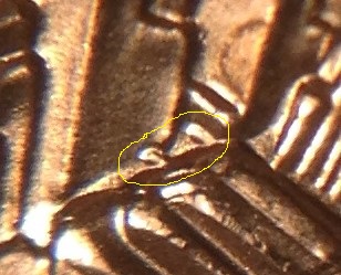 2015-P-Sacagawea-Reverse