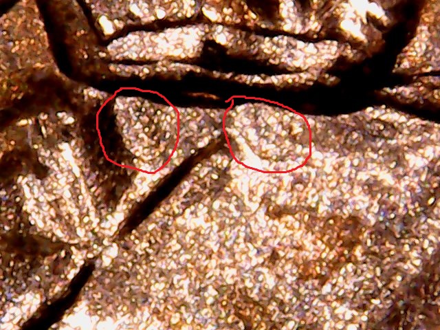2015-P-Mohawk-Sac-Dollar-DDR?