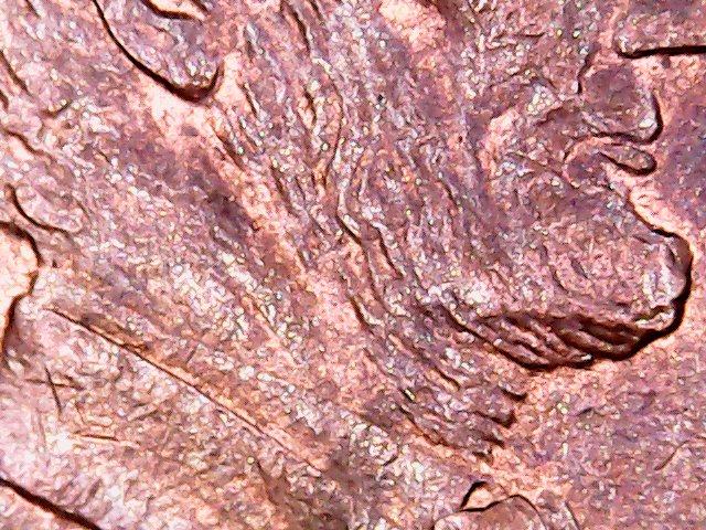 2000-P-Lincoln-With-Unusual-Bottom-Lip.